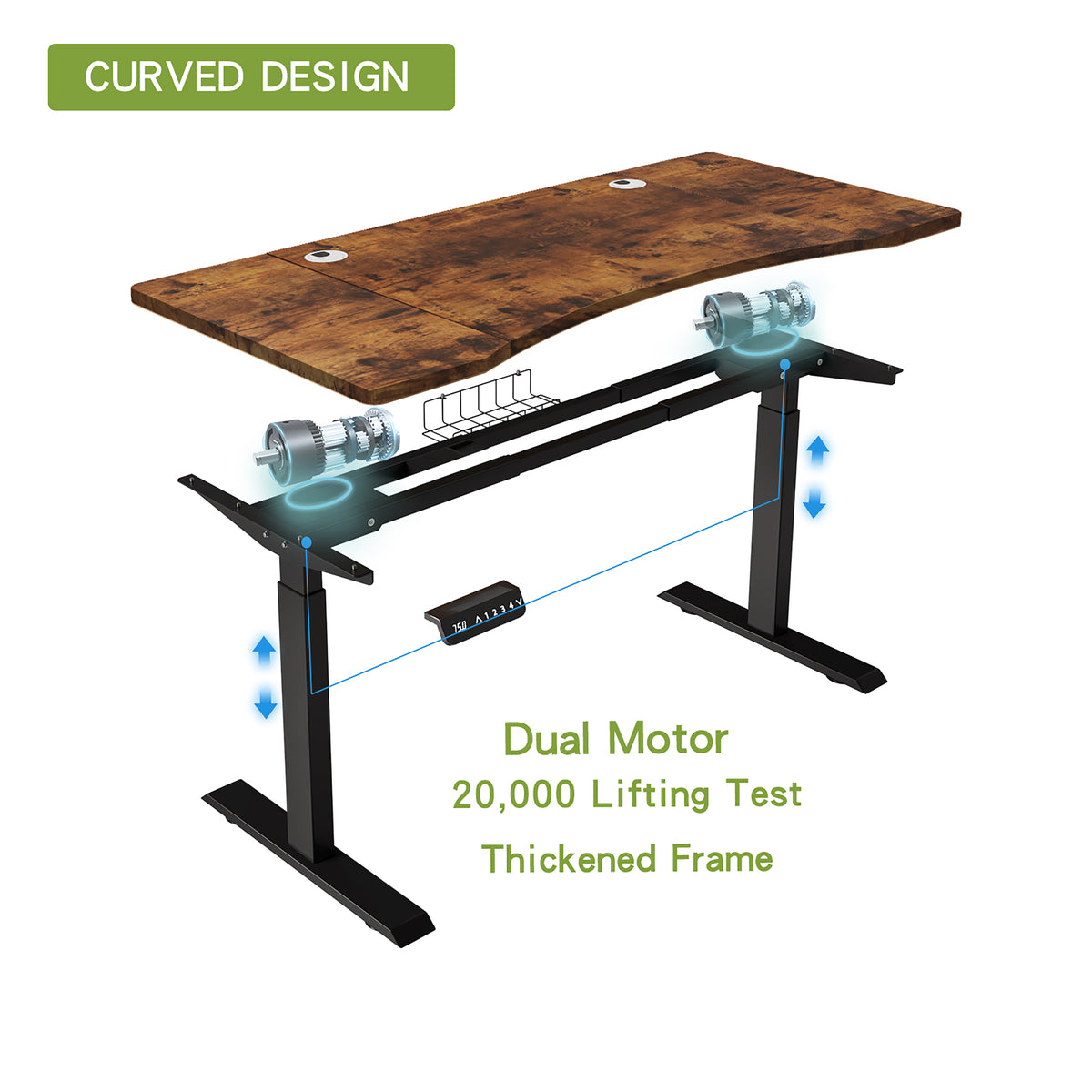 Walnut Curved-Front Dual-Motor Standing Desk